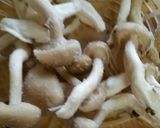 あんかけ風ワンポットカレーパスタ作り方2写真