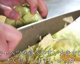 【無限レシピ】ばかウマ!おつまみキャベツ作り方1写真