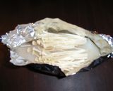 ☆簡単☆甘塩たらのホイル焼き（蒸し）作り方5写真