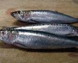 鰯とカリフラワーのトマト煮作り方4写真