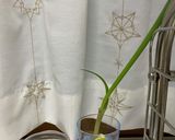 SDGsで美味しい♪干しにんじんの味噌汁作り方8写真