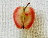 HMで簡単に!赤いりんごのケーキ作り方1写真