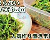 やみつき無限豆苗！人気簡単作り置き常備菜作り方5写真