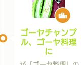 ゴーヤ綿のとり方スプーンで作り方7写真