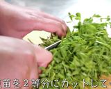 【シンプル副菜☆】豆苗の塩昆布和え♬作り方1写真