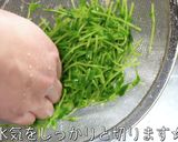 【シンプル副菜☆】豆苗の塩昆布和え♬作り方3写真