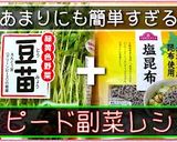 【シンプル副菜☆】豆苗の塩昆布和え♬作り方8写真