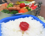 お弁当用のごはんの詰め方・冷まし方　-２作り方10写真
