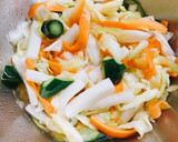 簡単！作り置き常備菜！野菜の甘酢漬け作り方9写真