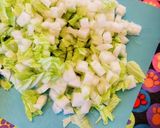 白菜消費●手が汚れない楽ちんまるごと餃子作り方1写真