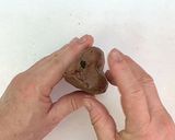 いちごのショコラシュトーレン作り方13写真