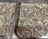 【保育園給食】簡単お正月料理-田作り作り方1写真