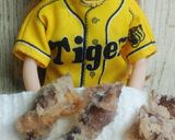 リカちゃん♡釜揚げほたるいかの唐揚げ♡作り方12写真
