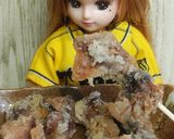 リカちゃん♡釜揚げほたるいかの唐揚げ♡作り方16写真