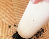 温活薬膳　身体がポカポカ♪ニラダレ作り方1写真
