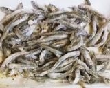 お手軽ワカサギの稚魚のエスカベージュ作り方1写真