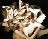 ブロッコリーとキノコで♪鶏むね肉のソテー作り方6写真