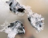 全レンジすり下ろし無玉ねぎさっぱり湯豆腐作り方8写真