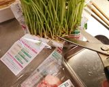 豆苗豚巻きごまドレッシングソース作り方1写真
