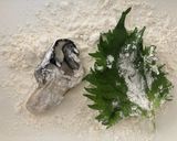 簡単♪牡蠣の大葉巻き天ぷら作り方3写真