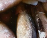 #ヘルシーおかず いかの豆腐詰め作り方5写真