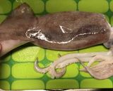 イカ焼きの手順作り方1写真