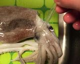 イカ焼きの手順作り方3写真