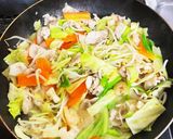 簡単ヘルシー野菜たっぷり！長崎ちゃんぽん作り方5写真