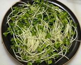 芽キャベツの肉巻き作り方4写真