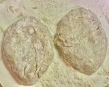 里芋バーグ作り方6写真