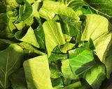 ソッコーで出来る副菜！コマツナツナ和え作り方4写真