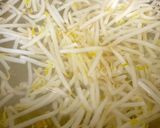 もやし 油揚げブロッコリーの新芽 味噌汁作り方5写真