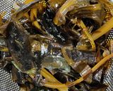 生わかめの佃煮作り方1写真