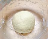 元種パンヴィエノワ作り方8写真