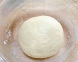 元種パンヴィエノワ作り方11写真