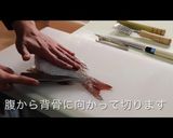 鯛のおろし方作り方6写真