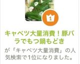 キャベツ大量消費!豚バラでもつ鍋もどき作り方6写真