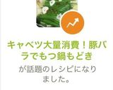 キャベツ大量消費!豚バラでもつ鍋もどき作り方7写真