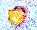 焚き火で焼き芋作り方8写真