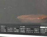 ナメタカレイのみりん漬け♪レンチン♪作り方3写真