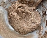 みかん丸ごとカップケーキ(ココア)作り方4写真