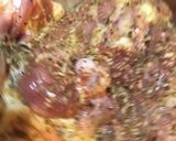 骨つきチキンのトマトソース煮モロッコ風作り方1写真
