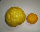 獅子（鬼）柚子の砂糖煮作り方1写真