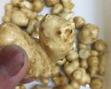 糖尿に良く効く菊芋‼️痛風、高血圧にも作り方2写真