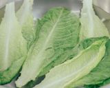 徳島産温野菜ウィンターシーザーサラダ作り方8写真