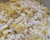冬の定番白菜、大量消費で絶品お好み焼き作り方1写真