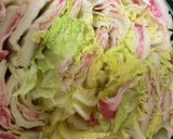 おなか満足白菜ミルフィーユ作り方3写真