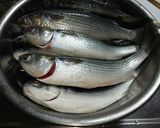 ボラの味噌汁作り方1写真