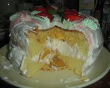 １８㎝丸型（クリスマスケーキ）作り方14写真