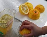 ダイダイのピール【JAはだの】作り方1写真